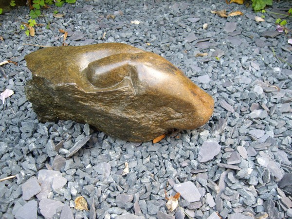 5277781235_e90f14c323_b