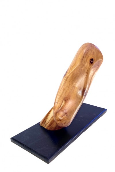 20150313_DSF5730-95S