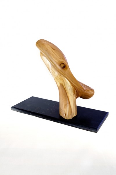 20150313_DSF5737-96S